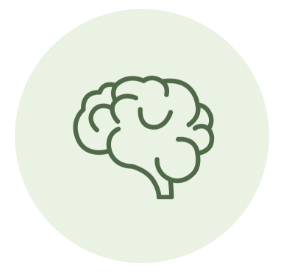 Un cerebro de color verde sobre fondo verde salvia claro