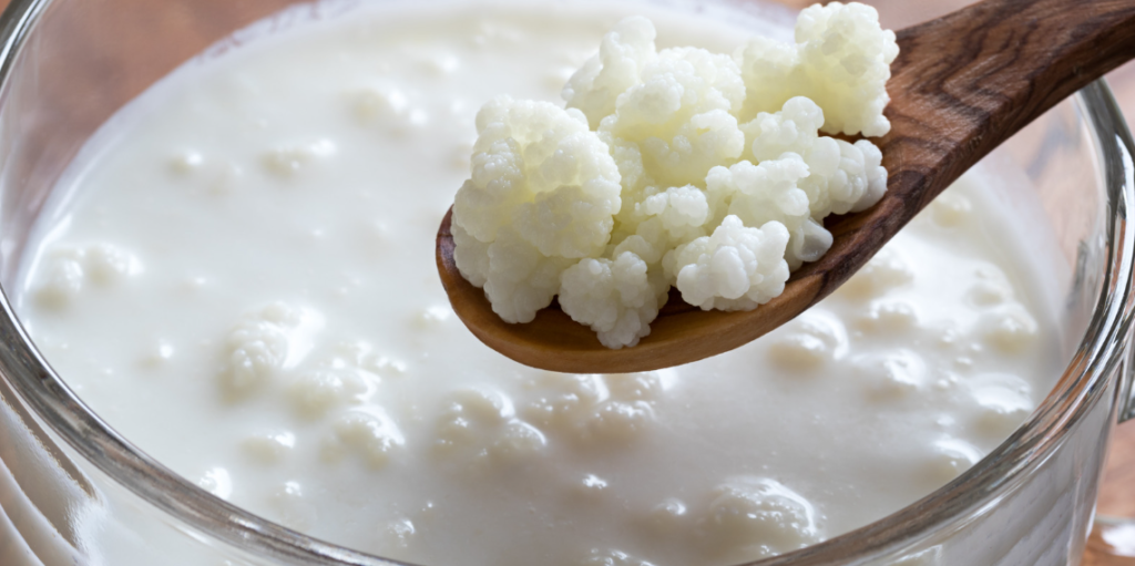 Cuchara de madera con nódulos de kéfir sobre un cuenco con nódulos de kéfir fermentados en leche y la inflamación abdominal